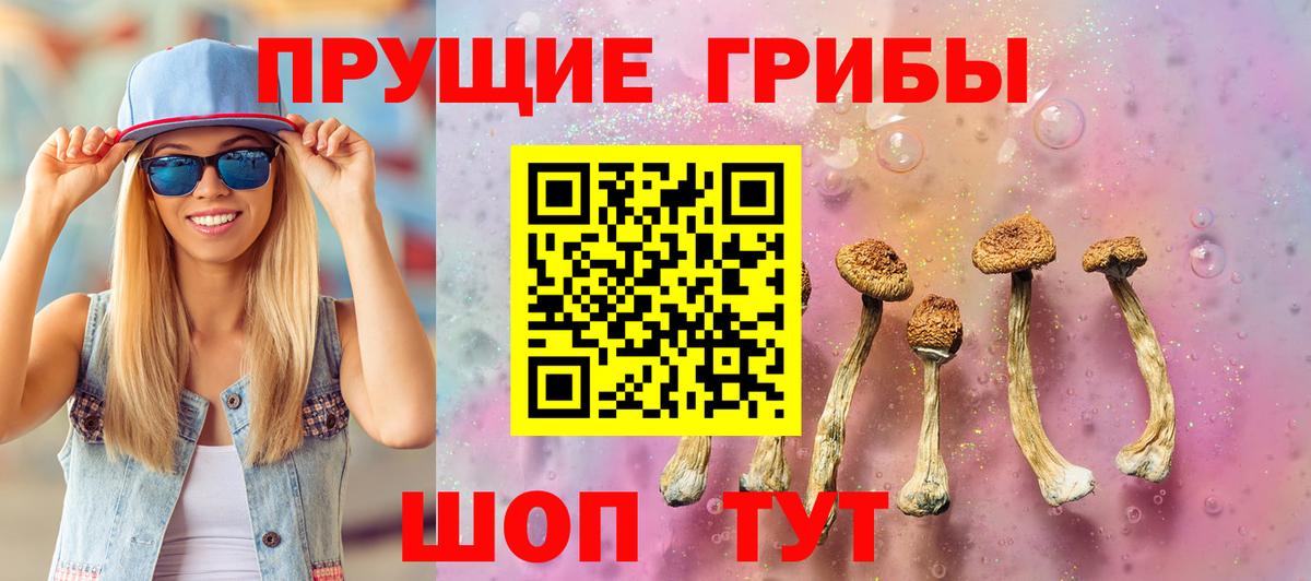 Псилоцибиновые грибы GOLDEN TEACHER  Вход с VPN  Аргун 